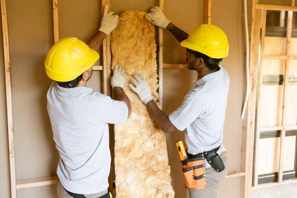 Best Insulation Removal  in Plainfield, IL