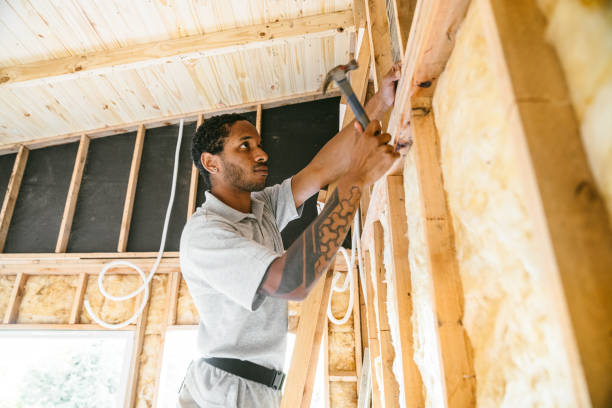 Insulation Contractors for Homes in Plainfield, IL