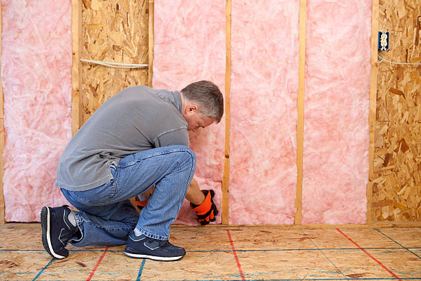 Best Fiberglass Insulation  in Plainfield, IL