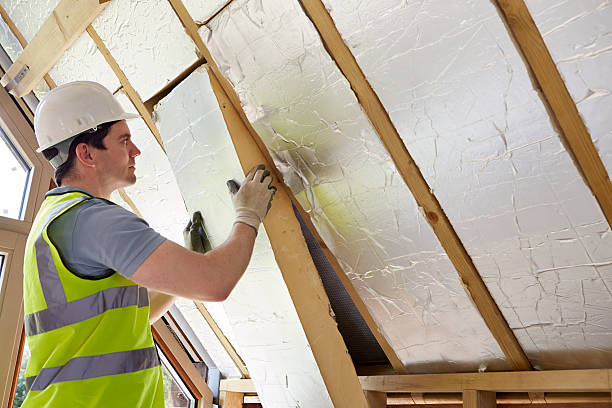 Best Insulation Contractors for Homes  in Plainfield, IL