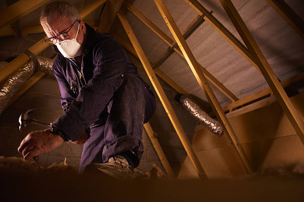 Best Attic Insulation Installation  in Plainfield, IL