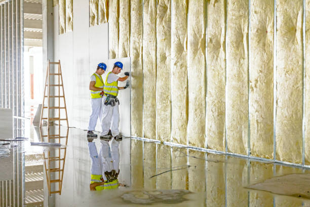 Best Soundproof Insulation Installation  in Plainfield, IL